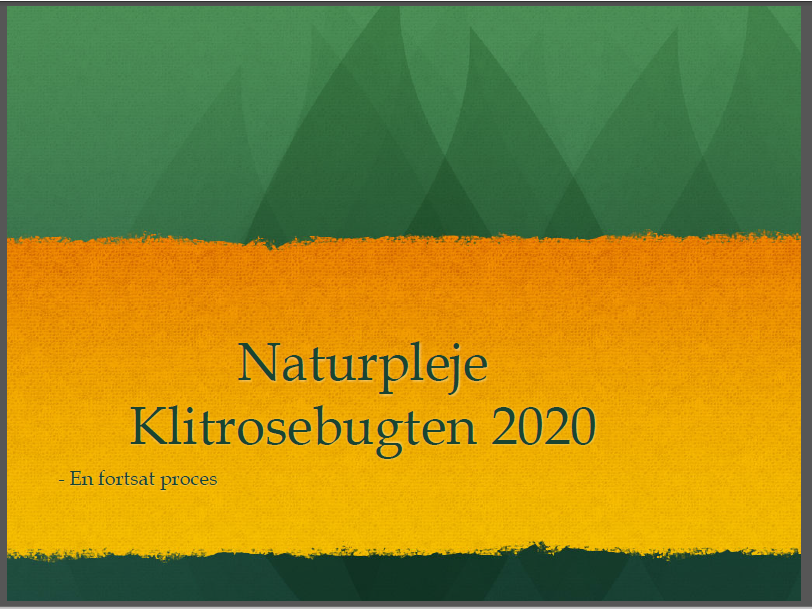 Naturpleje 2020 præsentation
